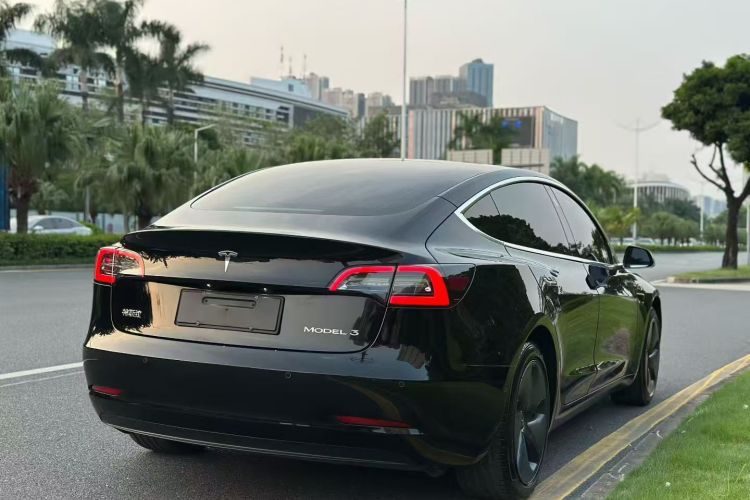 Tesla Model 3 2020 #7 Tesla Model 3 2020 car image #7