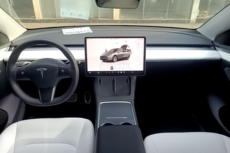 Tesla Model Y 2023 car image #10