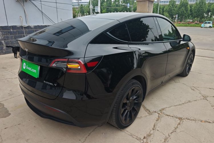 Tesla Model Y 2021 car image #5