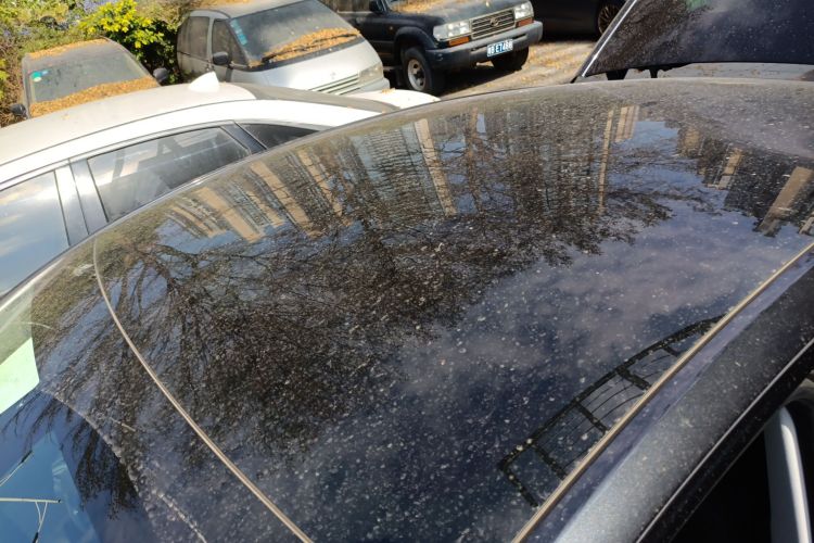 特斯拉 Model Y 2024 汽车图片 #28