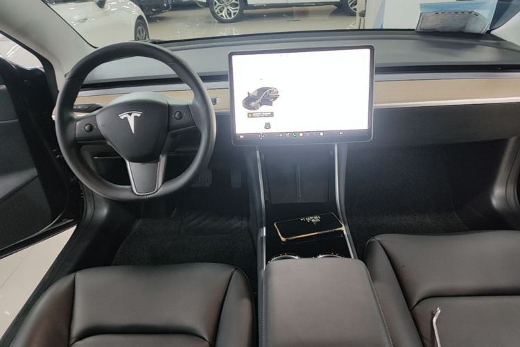 Tesla Model 3 2020 car image #10