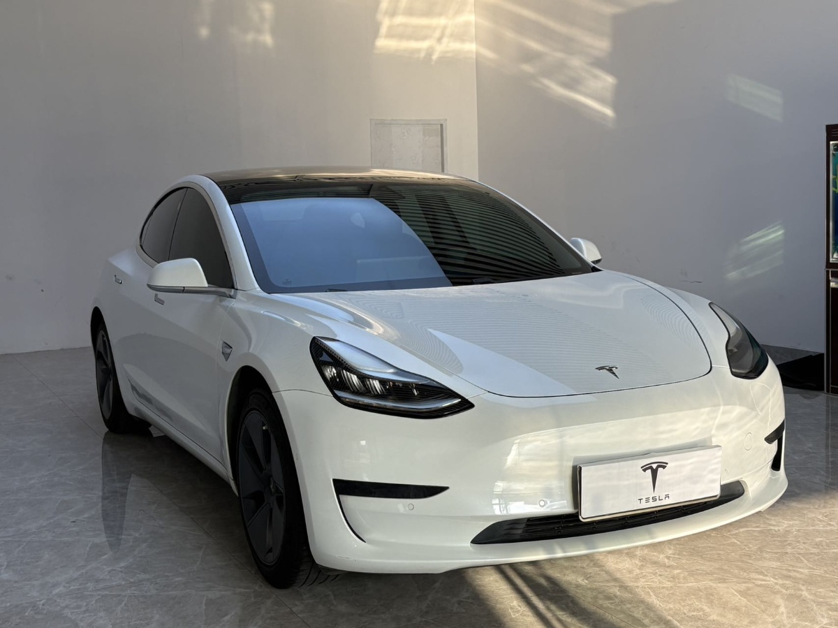 Tesla Model 3 2020 Tesla Model 3 2020 car image