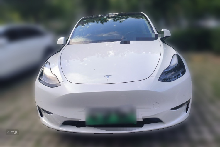 Tesla Model Y 2021 #3 Tesla Model Y 2021 car image #3