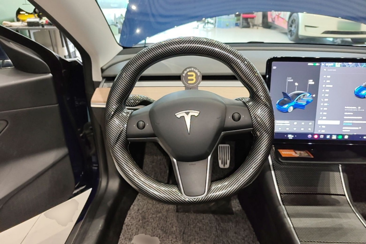 Tesla Model 3 2020 car image #15