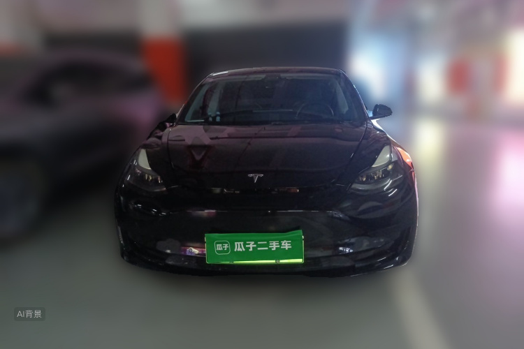 Tesla Model 3 2021 #3 Tesla Model 3 2021 car image #3