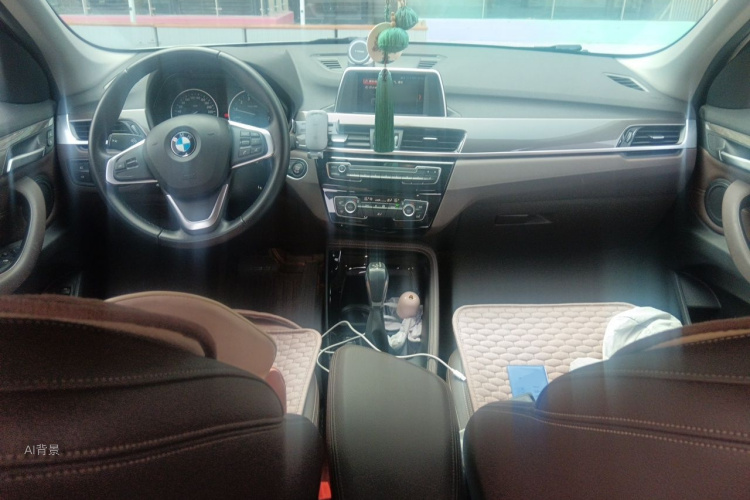 BMW X1 2017 car image #11