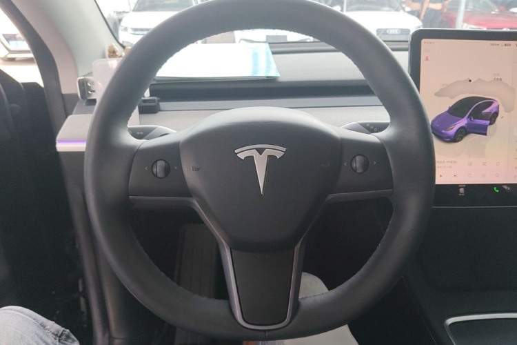 Tesla Model Y 2023 car image #11