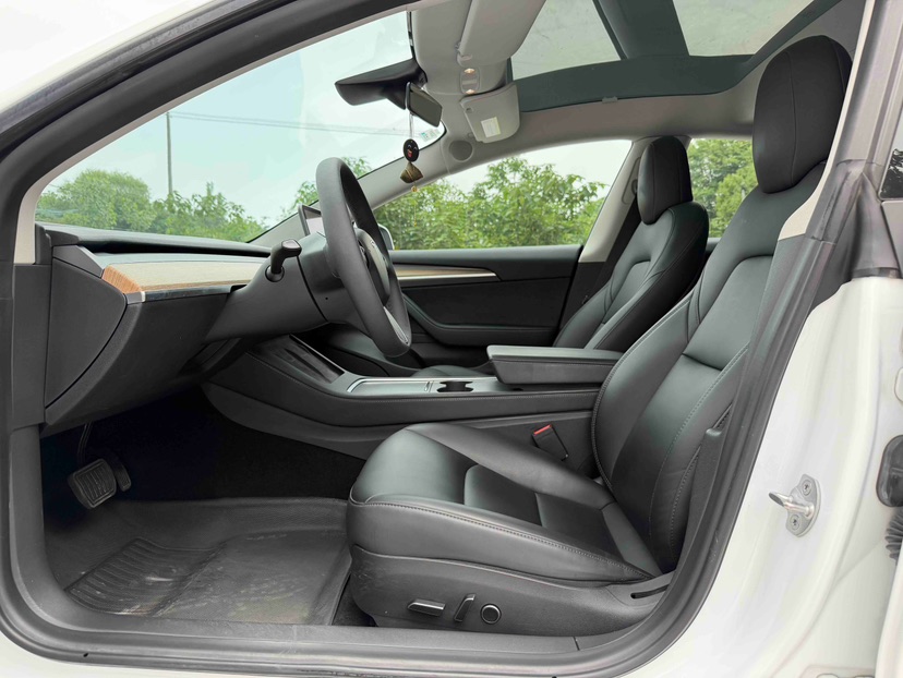 Tesla Model 3 2021 #3 Tesla Model 3 2021 car image #3