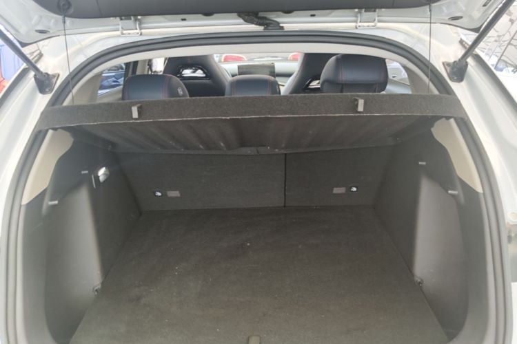 BYD Yuan Plus 2023 car image #19