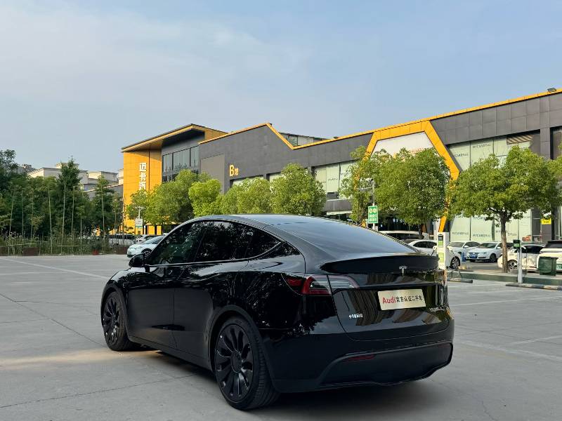 Tesla Model Y 2023 car image #6