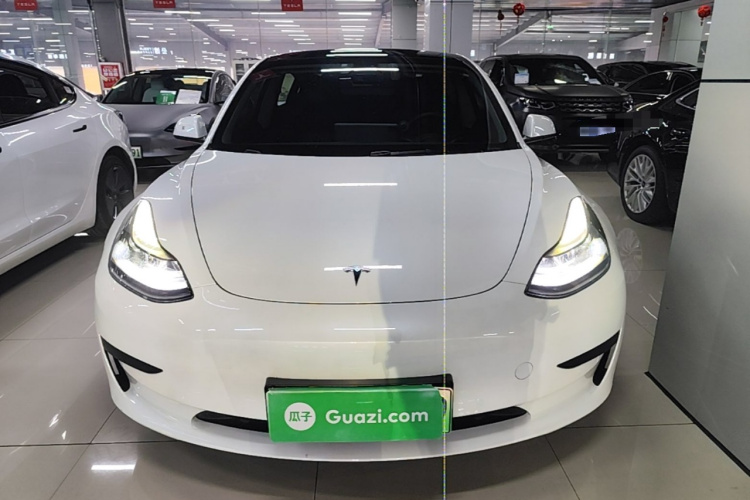 Tesla Model 3 2021 #3 Tesla Model 3 2021 car image #3