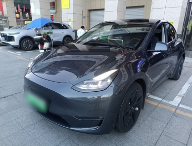 Tesla Model Y 2021 car image 