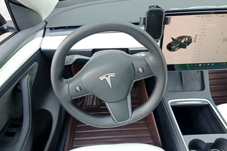 Tesla Model Y 2021 car image #11
