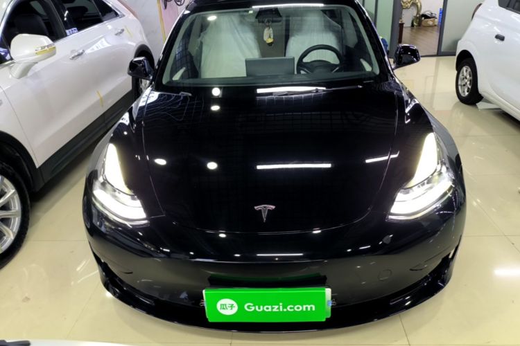 Tesla Model 3 2023 #3 Tesla Model 3 2023 car image #3