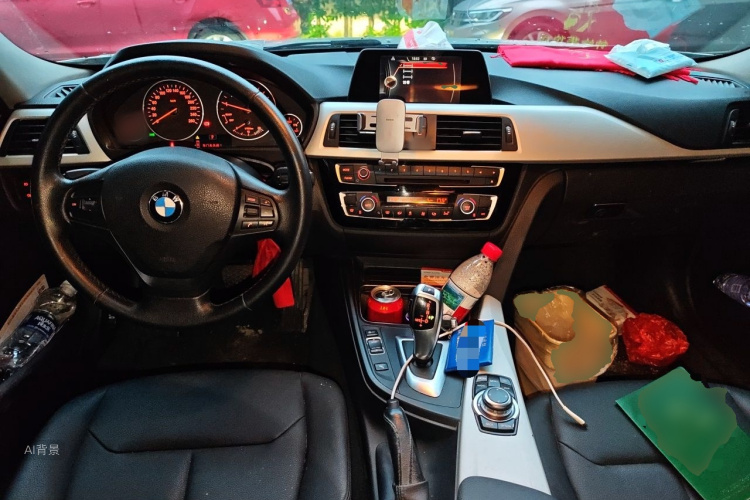 BMW 3 Series 2016 car image #11