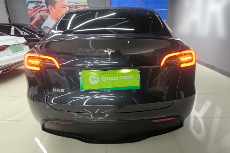 Tesla Model Y 2024 immagine di auto #6