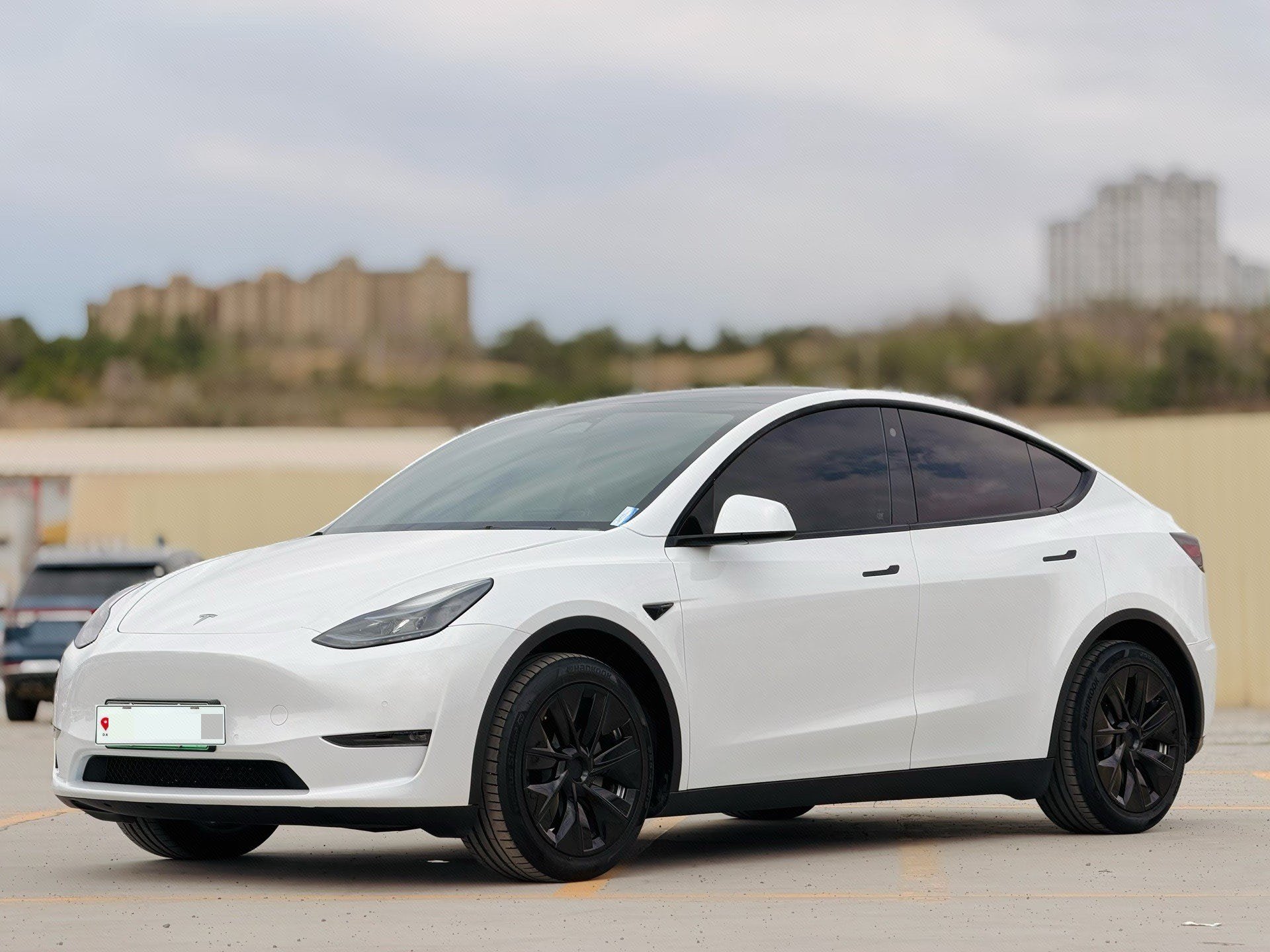 Tesla Model Y 2023 car image 