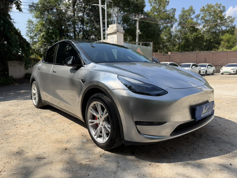 Tesla Model Y 2023 car image 
