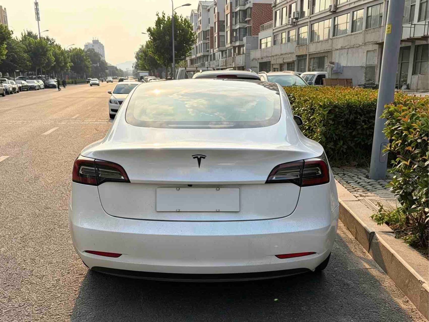 Tesla Model 3 2019 #5 Tesla Model 3 2019 car image #5