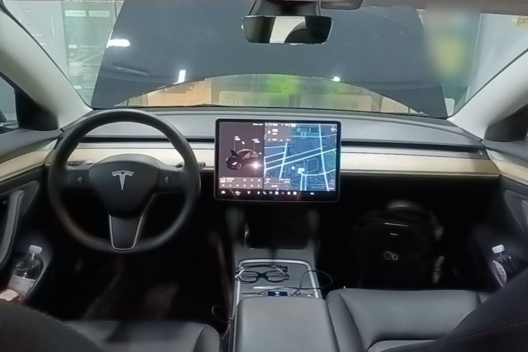 Tesla Model 3 2021 immagine di auto #11