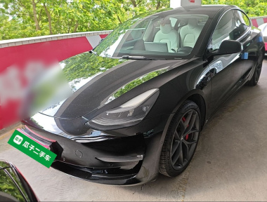 Tesla Model 3 2022 car image 