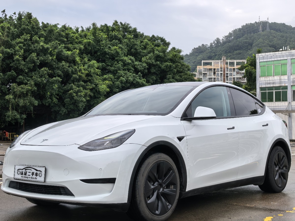 Tesla Model Y 2023 Tesla Model Y 2023 car image