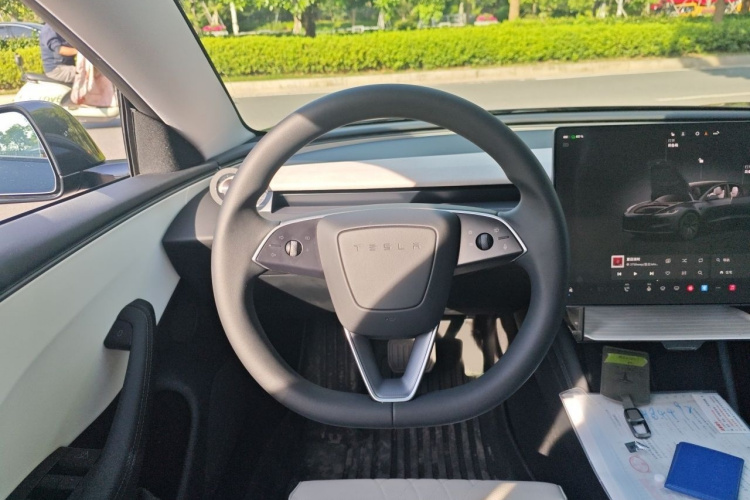 Tesla Model 3 2025 car image #15