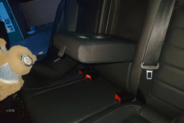 Volkswagen Lavida 2019 car image #19