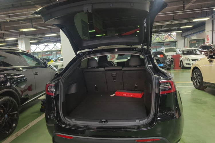 Tesla Model Y 2022 car image #19