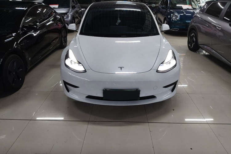 Tesla Model 3 2023 #3 Tesla Model 3 2023 car image #3