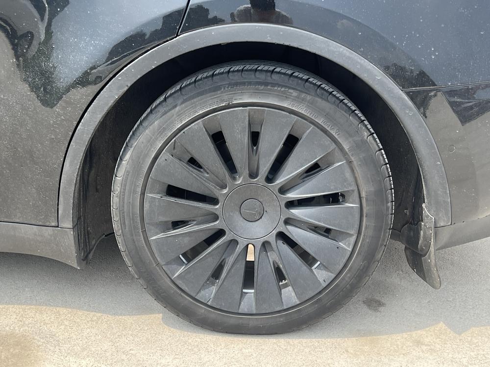 Tesla Model Y 2023 car image #6