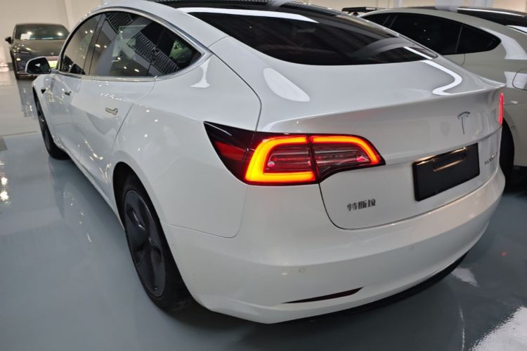 Tesla Model 3 2020 immagine di auto #7