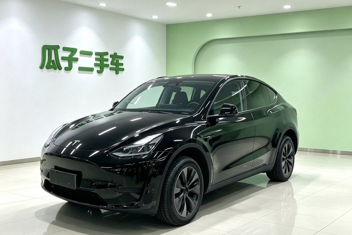 Tesla Model Y 2024 car image 