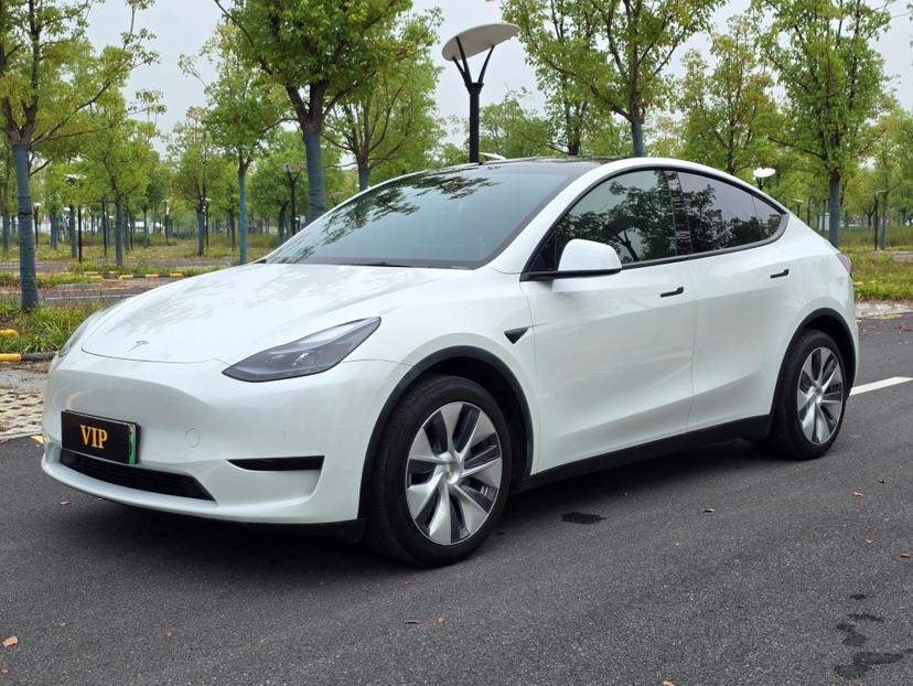 Tesla Model Y 2023 Tesla Model Y 2023 car image