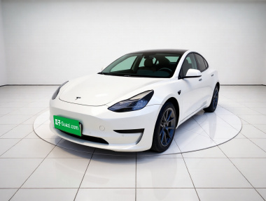 Tesla Model 3 2021 car image 