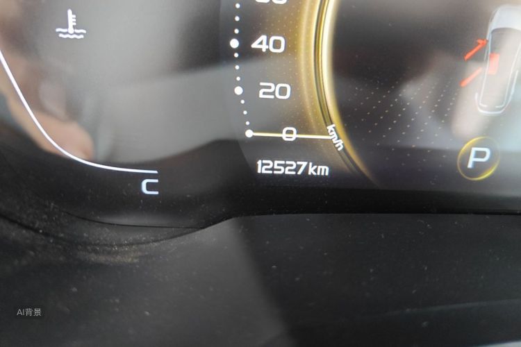 GEELY Emgrand GS 2021 #14 GEELY Emgrand GS 2021 car image #14
