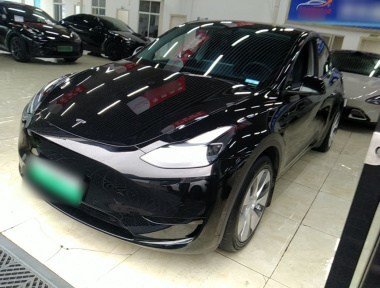 Tesla Model Y 2023 car image 