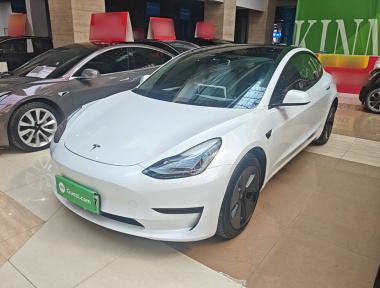 Tesla Model 3 2023 car image 