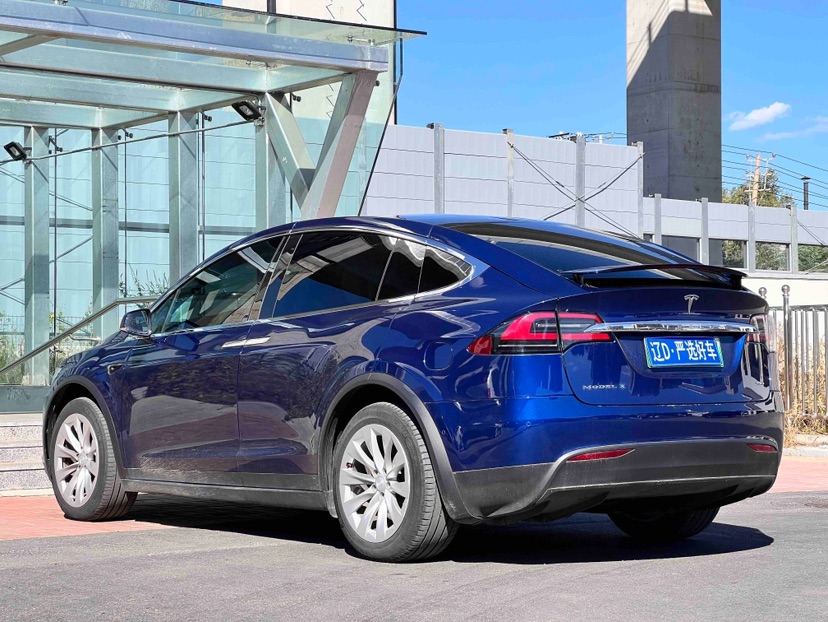 Tesla Model X 2019 car image #6