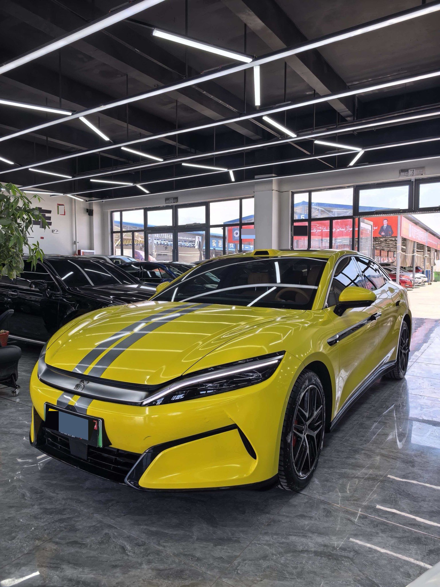BYD HanL 2025 car image 