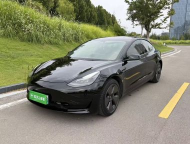 Tesla Model 3 2021 Tesla Model 3 2021 car image