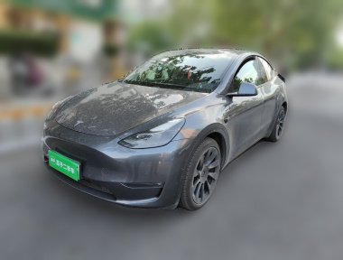 Tesla Model Y 2021 Tesla Model Y 2021 car image