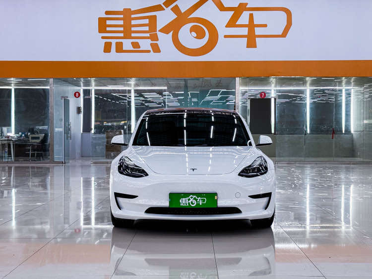 Tesla Model 3 2021 #3 Tesla Model 3 2021 car image #3