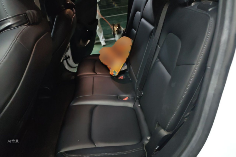 Tesla Model Y 2023 #19 Tesla Model Y 2023 car image #19