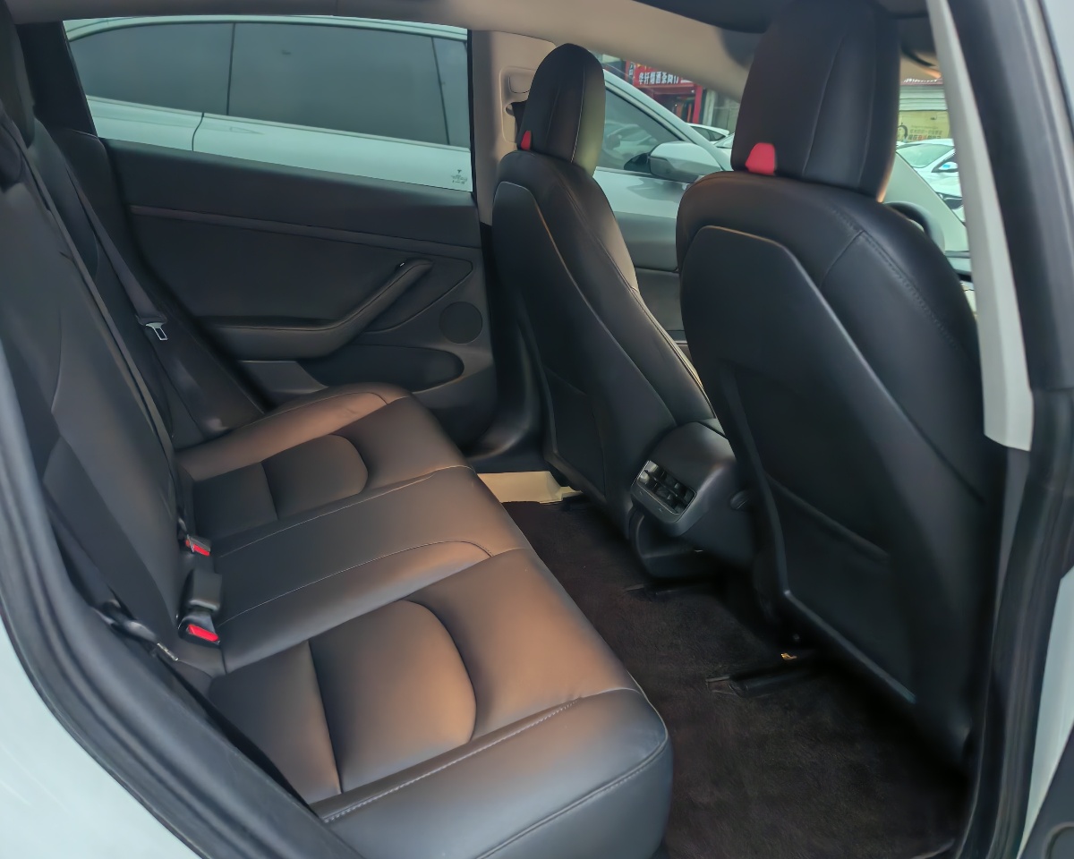 Tesla Model 3 2021 #5 Tesla Model 3 2021 car image #5