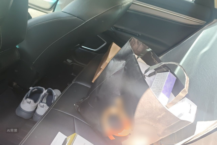 GEELY Emgrand GS 2019 #19 GEELY Emgrand GS 2019 car image #19