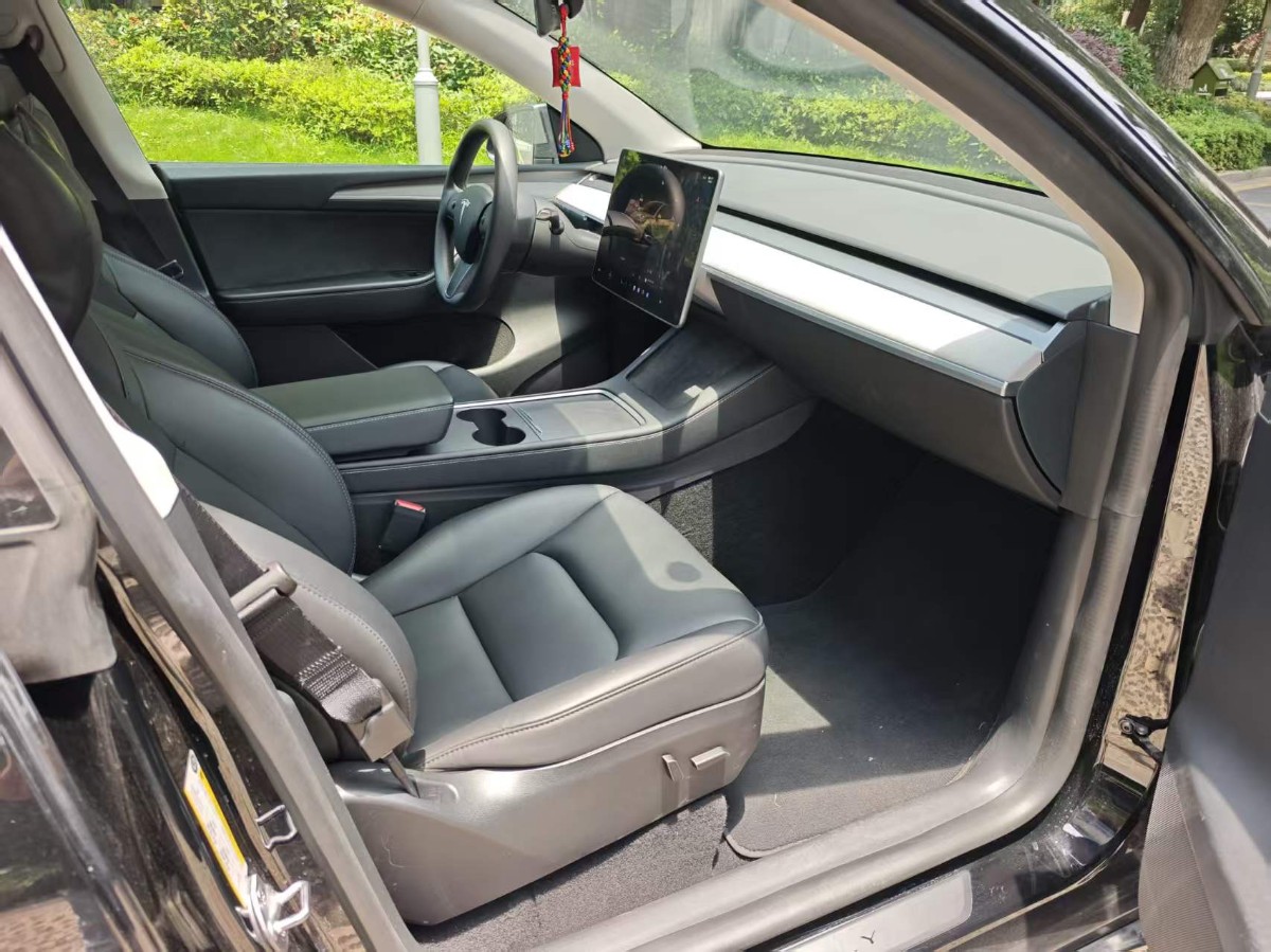 Tesla Model Y 2024 car image #3