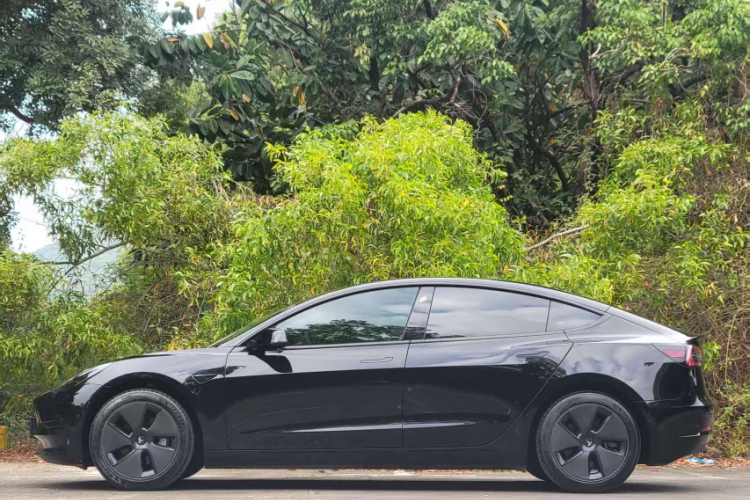 特斯拉 Model 3 2021 汽车图片 #3