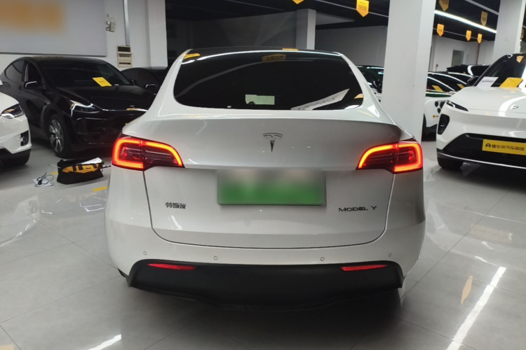 Tesla Model Y 2021 #6 Tesla Model Y 2021 car image #6