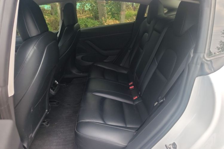Tesla Model 3 2020 car image #17